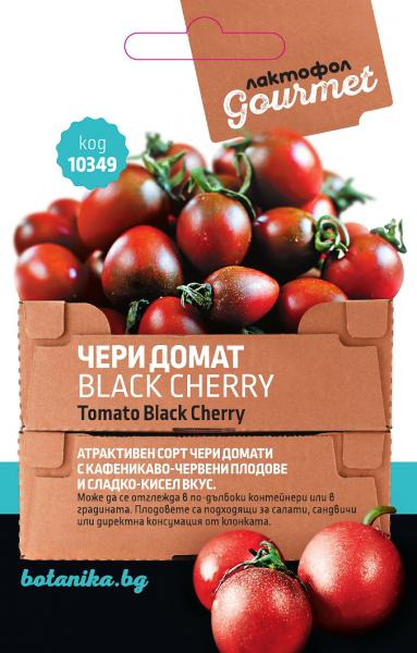 10349_etbsz
