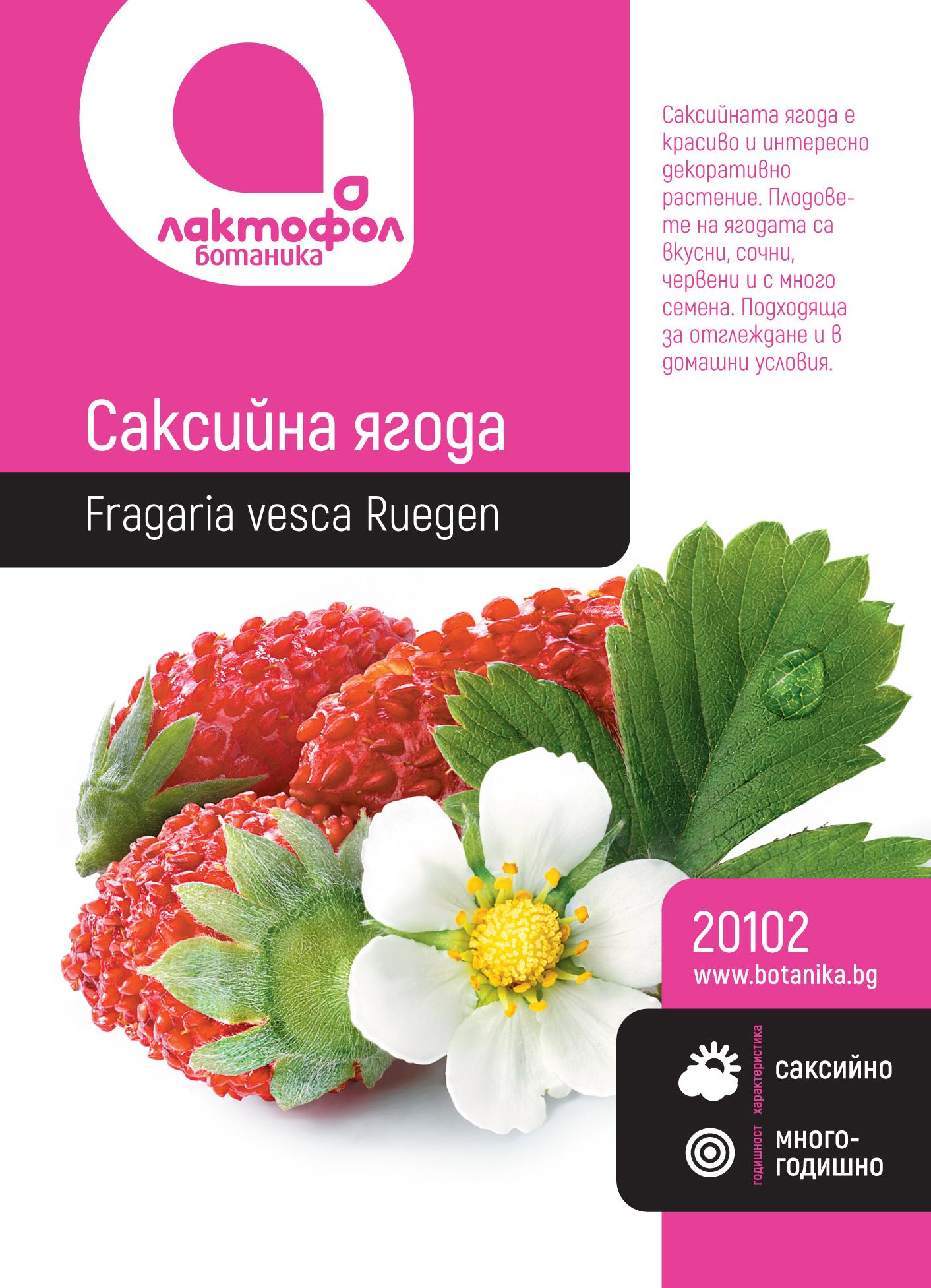 20102_sgaz3
