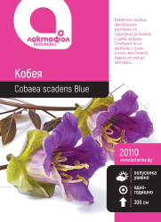 Кобея