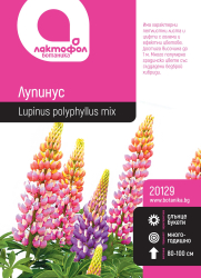 Лупинус