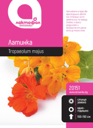 Латинка