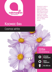 Космос, бял