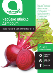 Червено цвекло Детройт