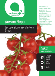 Домат Чери