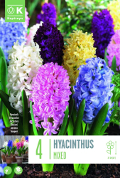 Зюмбюл MIXED COLOURS 16/17 4 бр.