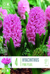 Зюмбюл PINK PEARL 16/17 4 бр.